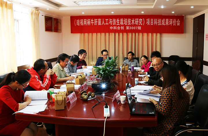 暗褐网柄牛肝菌人工与仿生栽培技术研究 anli.jpg